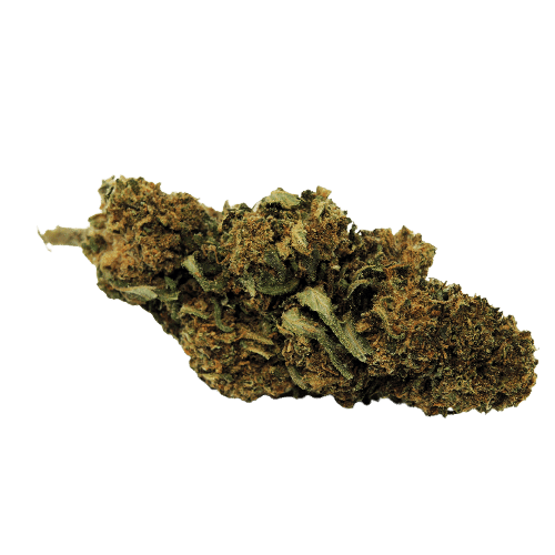 Photo fleur Chocolate Diesel CBD sans arrière plan