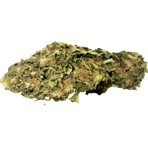 Photo fleur mango kush cbd sans arrière plan