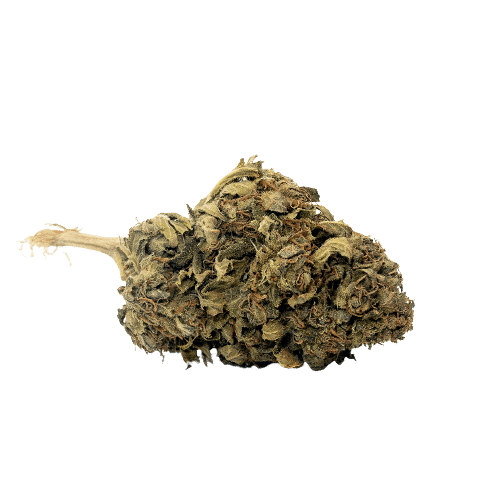 Photo fleur orange bud CBD sans arrière plan